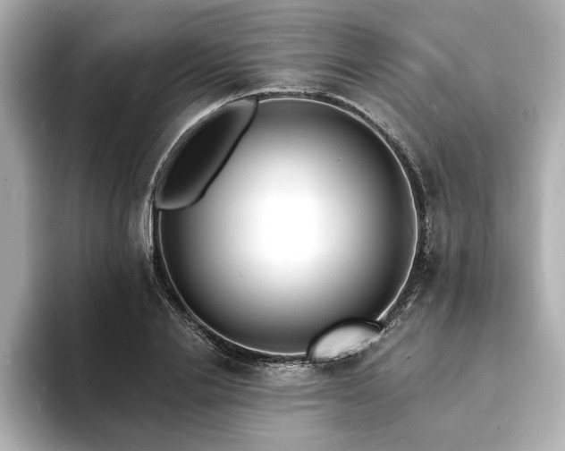 X0000093600838200710151219