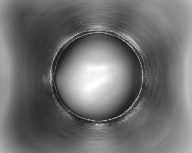 X0000093600839200710151219