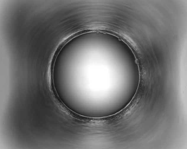 X0000093600840200710151219