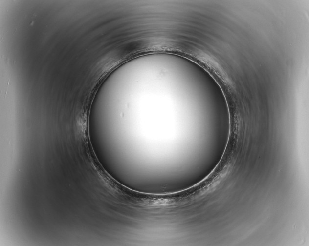 X0000093600841200710151219