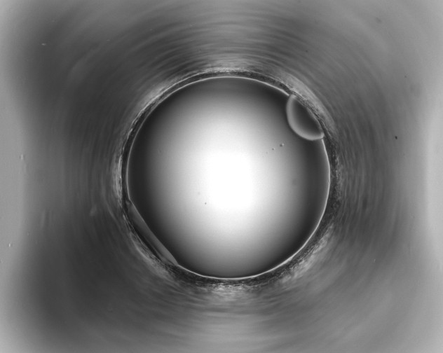 X0000093600842200710151219
