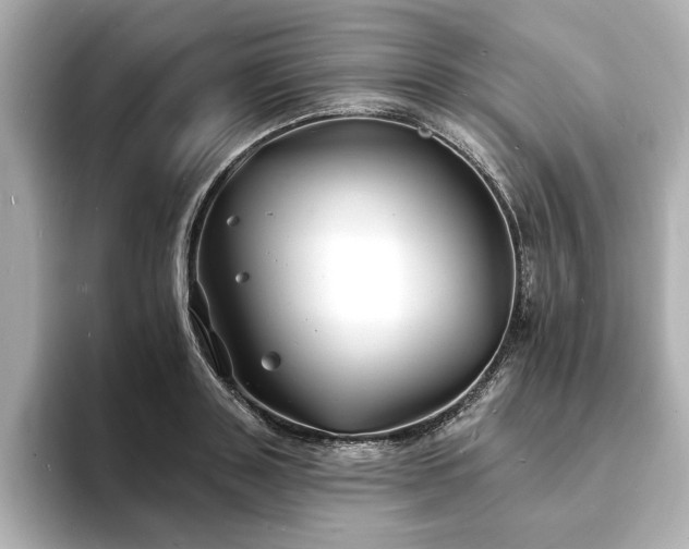 X0000093600843200710151219