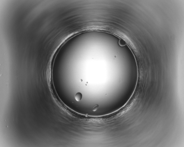 X0000093600844200710151219