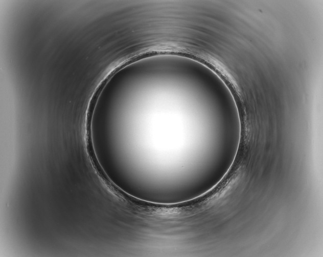 X0000093600845200710151219