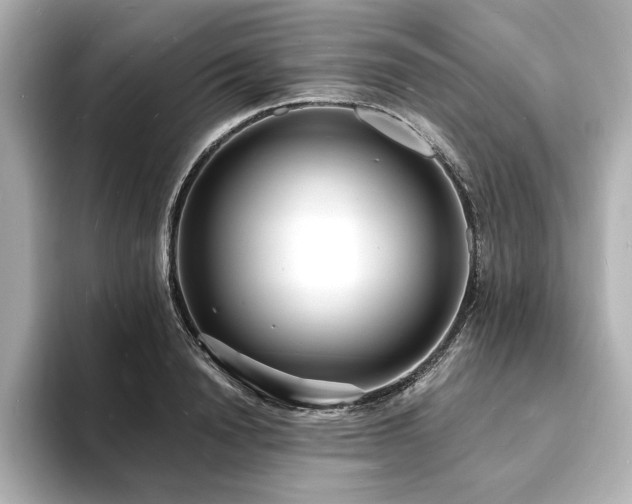 X0000093600846200710151219