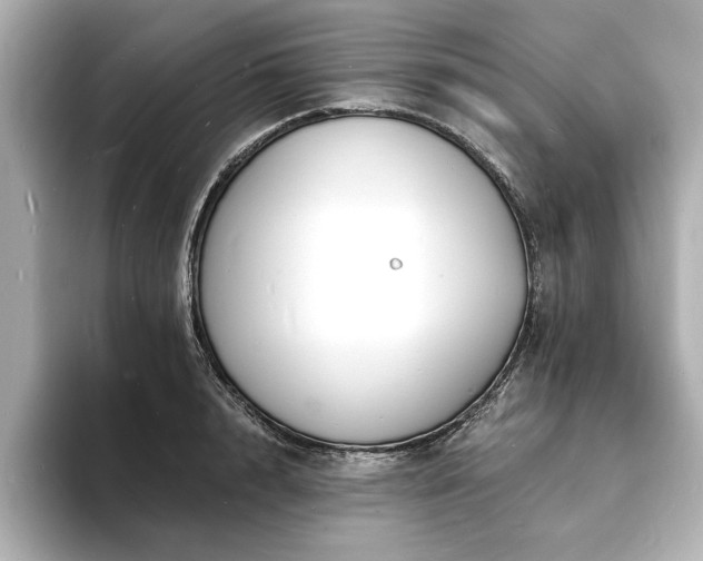 X0000093600848200710151219