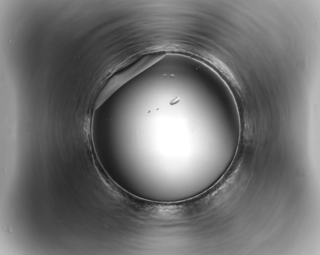 X0000093600849200710151219