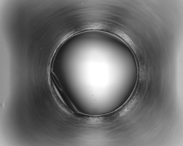 X0000093600850200710151219