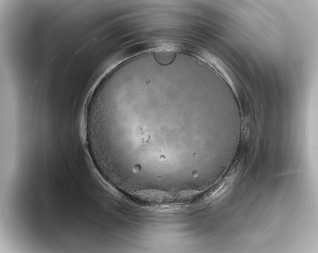 X0000093600851200710151219