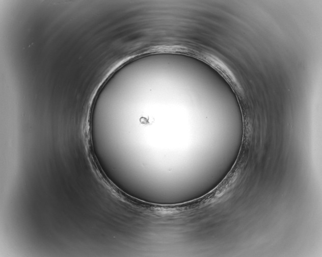 X0000093600852200710151219