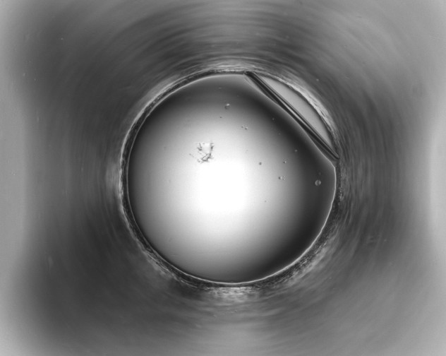 X0000093600853200710151219