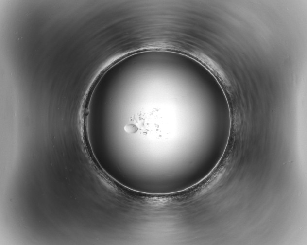 X0000093600854200710151219