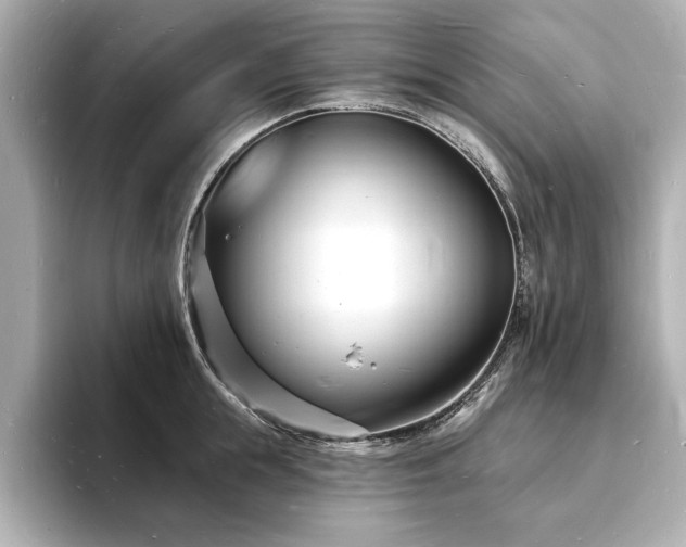 X0000093600855200710151219