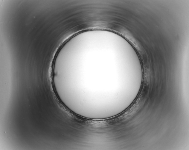X0000093600856200710151219