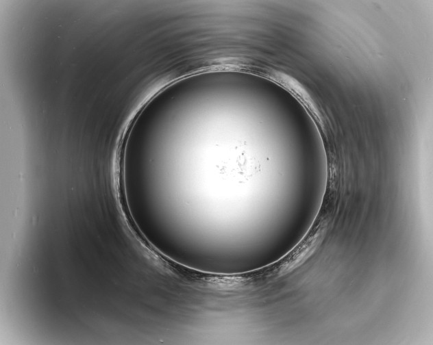 X0000093600859200710151220
