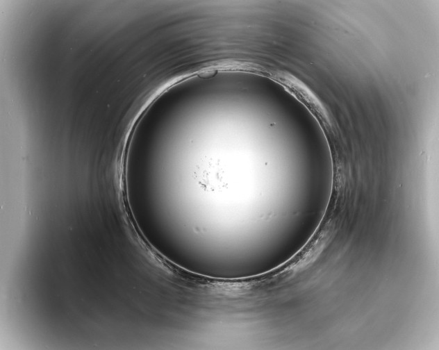 X0000093600860200710151220