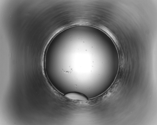 X0000093600861200710151220