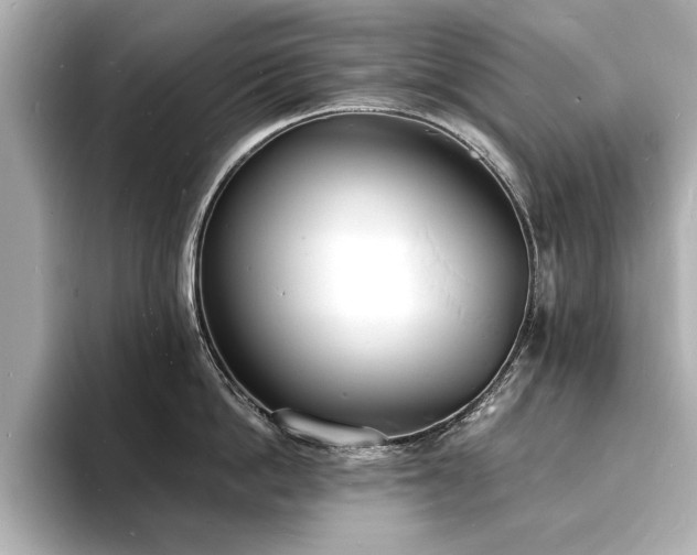 X0000093600862200710151220
