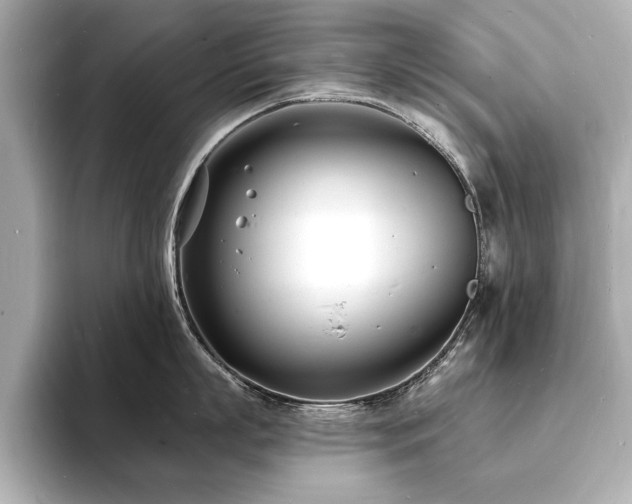 X0000093600863200710151220