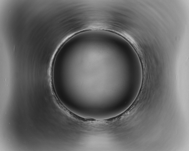 X0000093600864200710151220