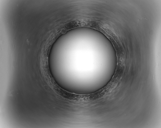 X0000093600865200710151219