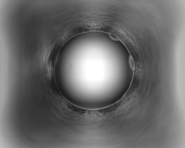 X0000093600866200710151219