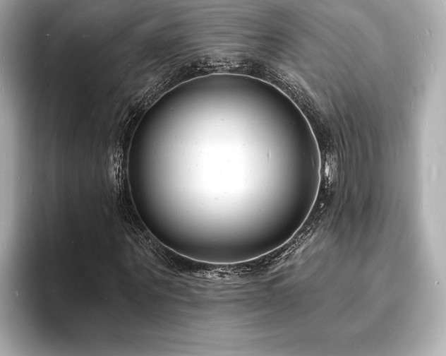 X0000093600867200710151219