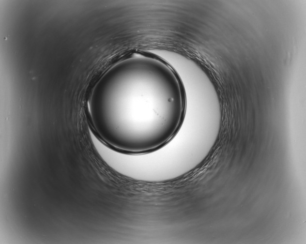 X0000093600868200710151219