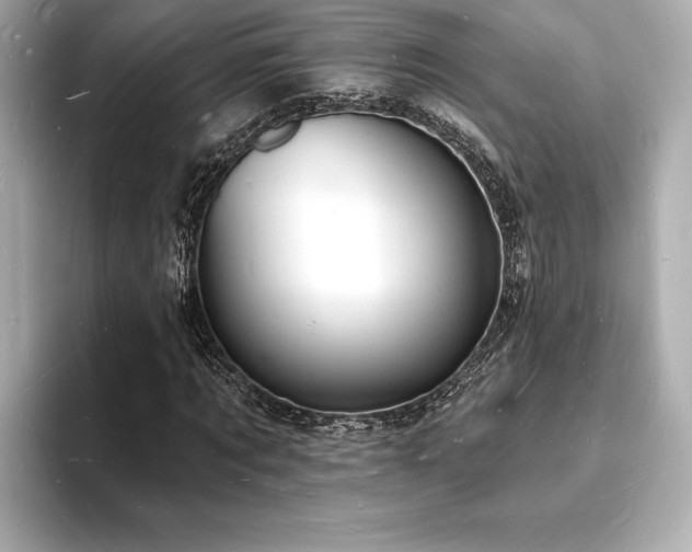 X0000093600869200710151219