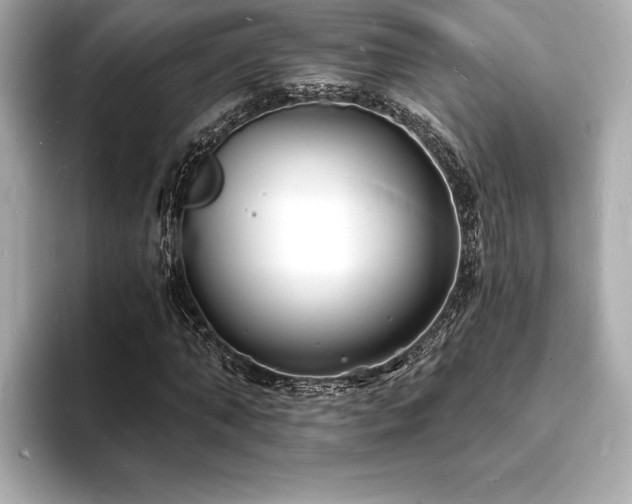 X0000093600870200710151219