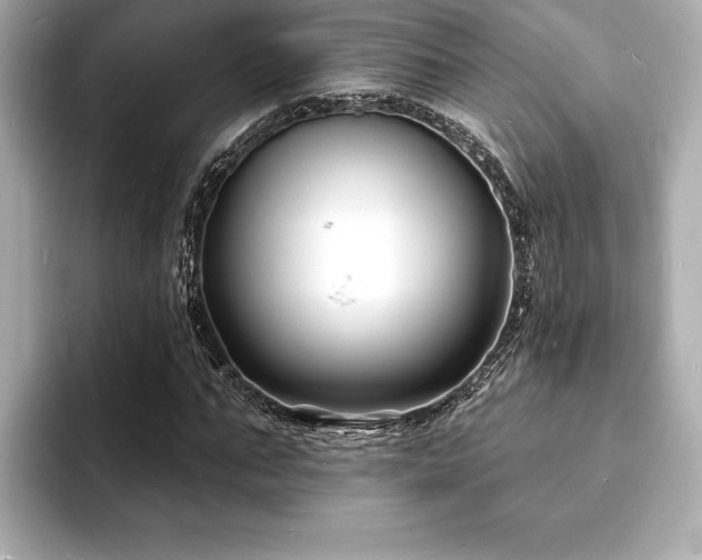 X0000093600871200710151219