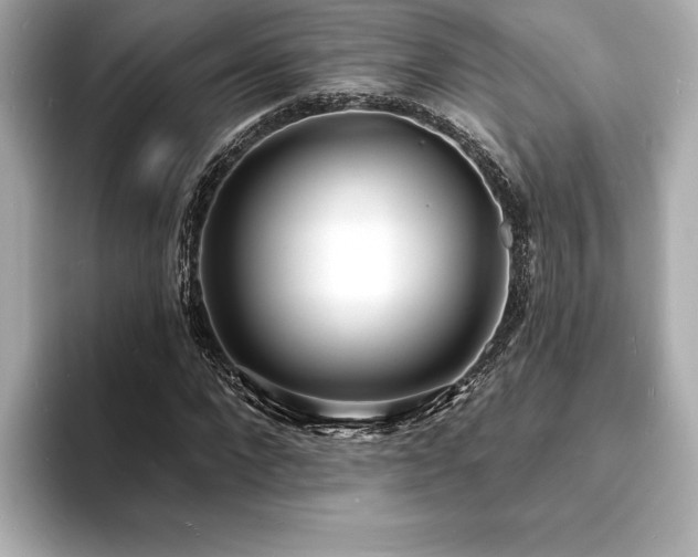 X0000093600872200710151219