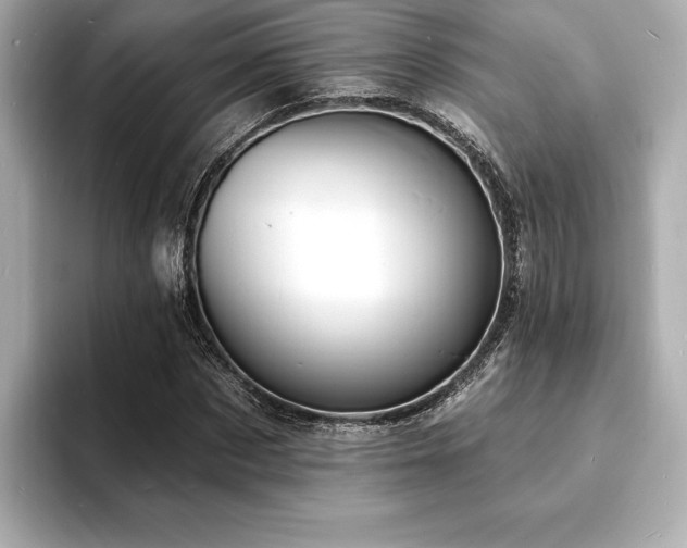 X0000093600873200710151219