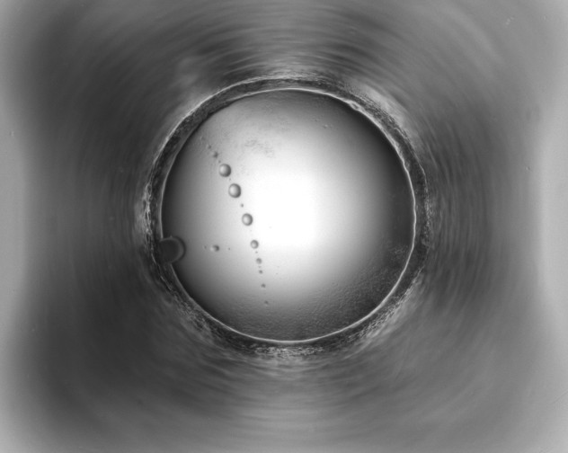 X0000093600875200710151219