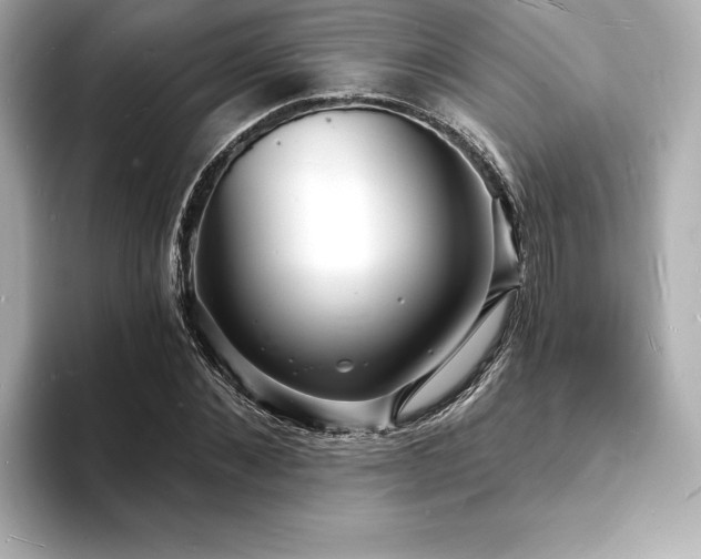 X0000093600876200710151219
