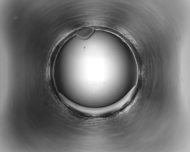 X0000093600877200710151219