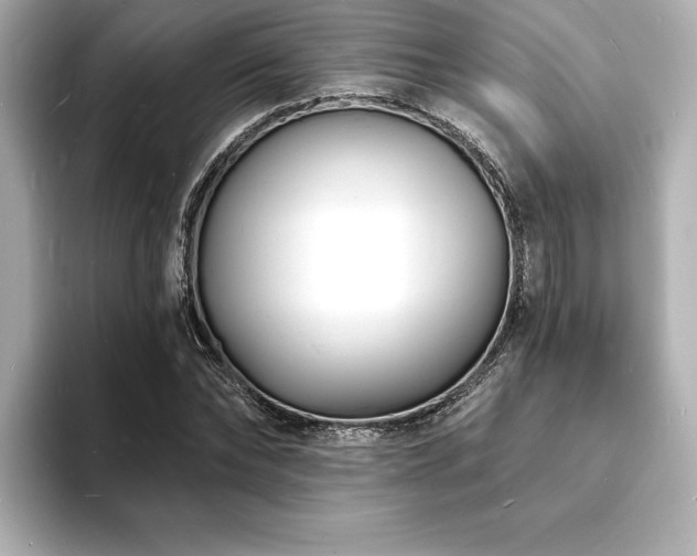 X0000093600878200710151219