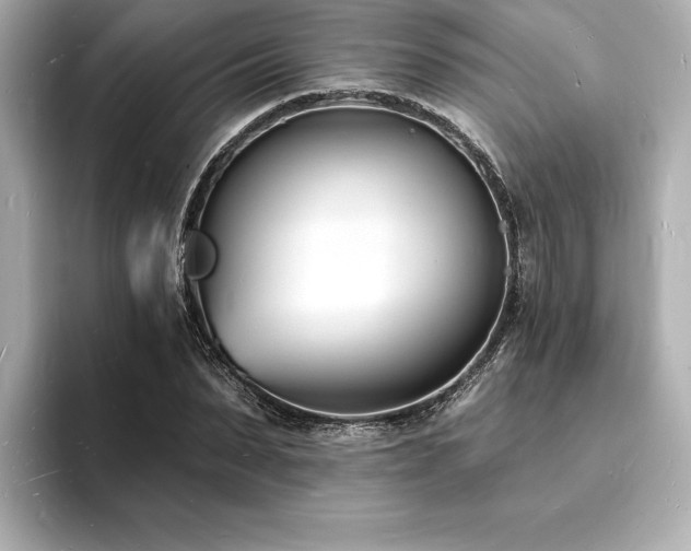 X0000093600879200710151219
