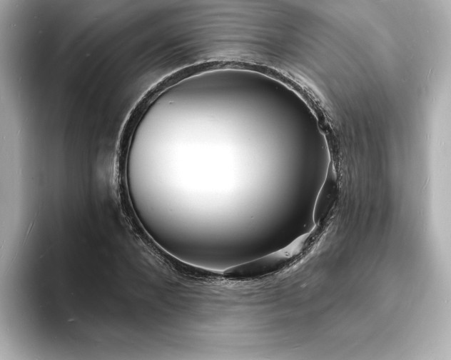 X0000093600880200710151219