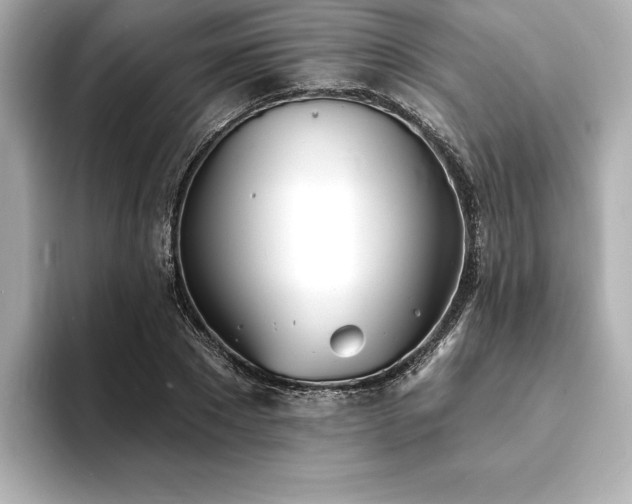 X0000093600881200710151219