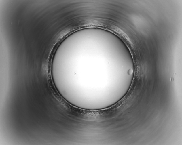 X0000093600882200710151219