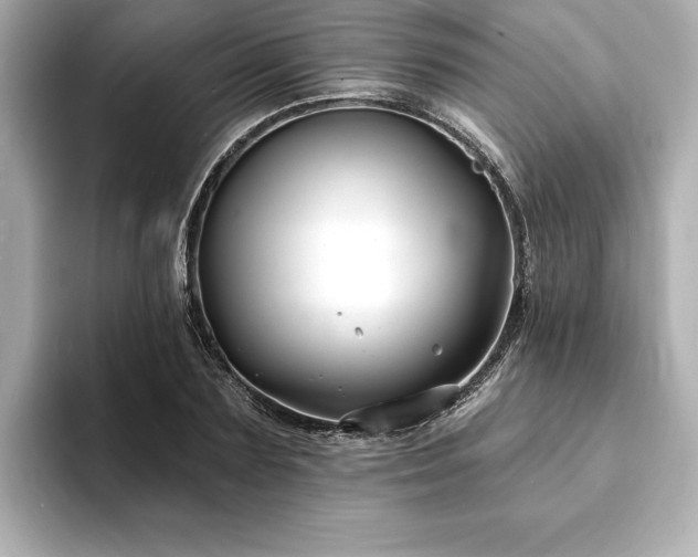 X0000093600883200710151219