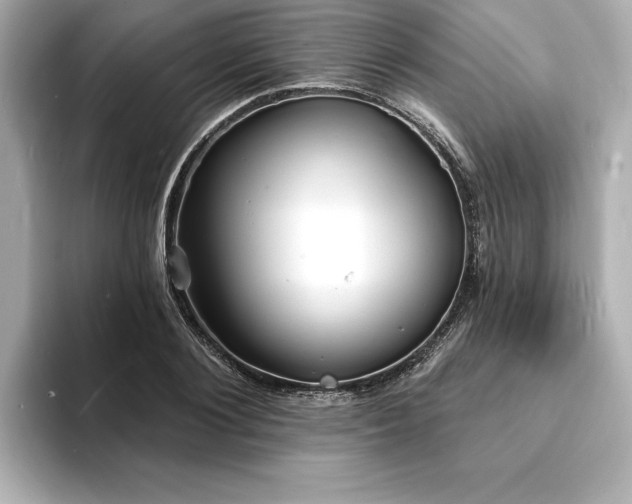 X0000093600884200710151219