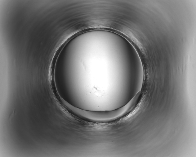 X0000093600885200710151219