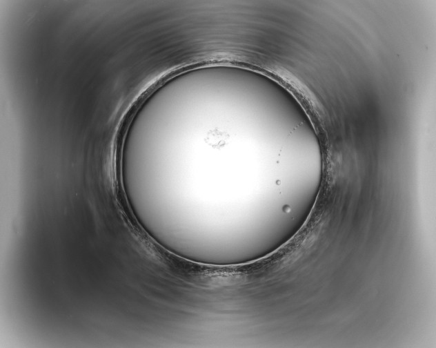X0000093600886200710151219