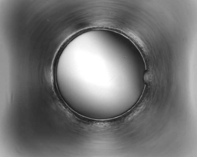 X0000093600888200710151219
