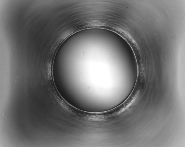 X0000093600889200710151219