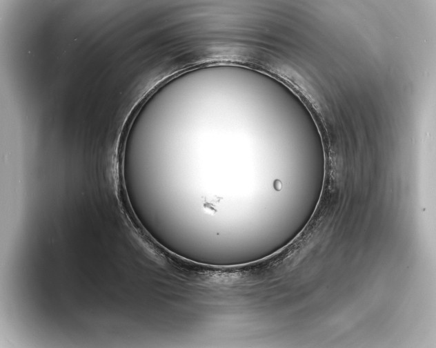 X0000093600890200710151219