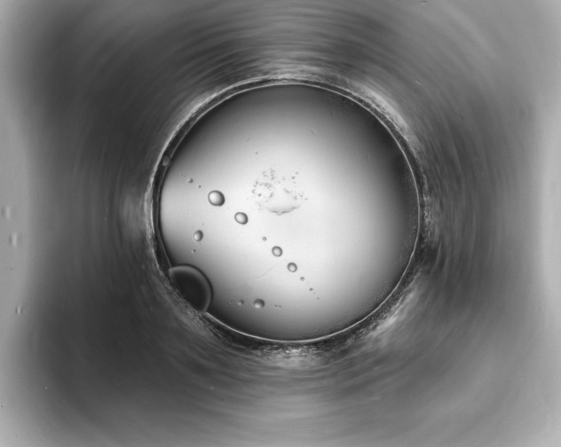 X0000093600891200710151219