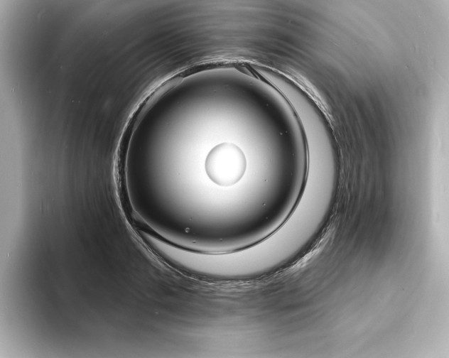 X0000093600893200710151219